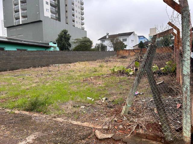 #58739795 - Área para Venda em Campos Novos - SC - 3