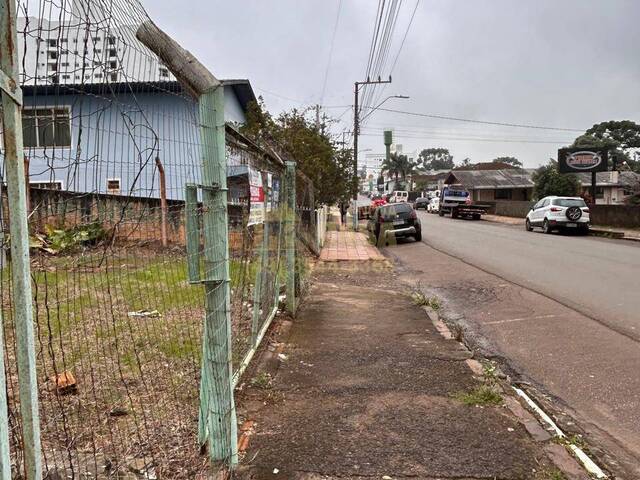 #58739795 - Área para Venda em Campos Novos - SC - 2