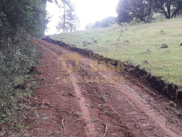 #58739893 - Chácara para Venda em Celso Ramos - SC - 3