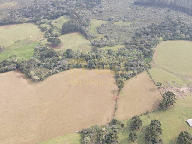 #58739913 - Chácara para Venda em Campos Novos - SC - 3