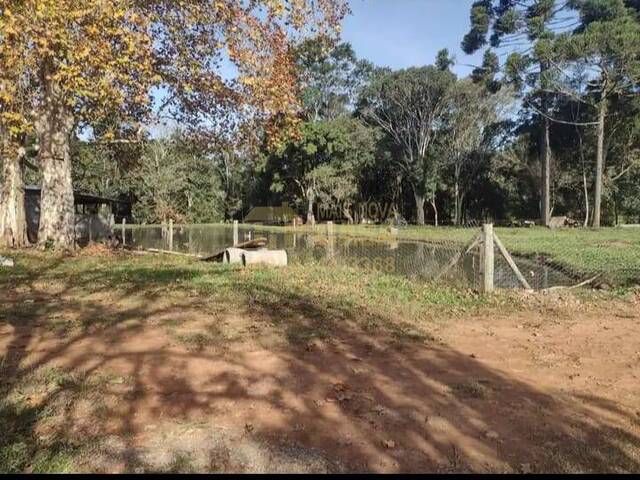 #58739956 - Chácara para Venda em Vargem - SC - 3