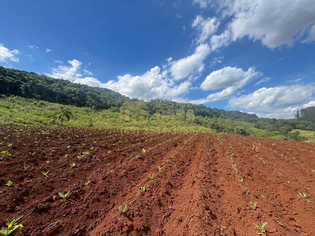 #58739614 - Chácara para Venda em Vargem - SC - 3